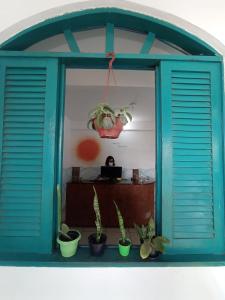 een raam met blauwe luiken en potplanten bij Maré Mansa Pousada e Hostel in Itacaré