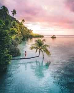 Una mujer parada sobre una palmera en el agua en Nyande Raja Ampat, en Pulau Mansuar