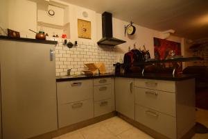 een keuken met een koelkast en een wastafel. bij Le repère, pour fan de sorcellerie ! in Pau