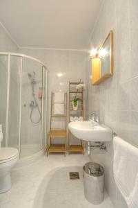 ein Bad mit einem Waschbecken, einer Dusche und einem WC in der Unterkunft Apartments Fine Ziherlova in Ljubljana