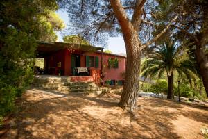 een rood huis met een boom ervoor bij Casa Nocella a Bagnaia - Goelba in Portoferraio