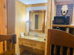 a bathroom with a sink and a mirror at Deluxe Big Texan Multi Suite in Amarillo