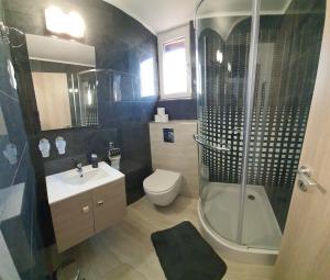 W łazience znajduje się prysznic, toaleta i umywalka. w obiekcie Sipos Vendég és Apartmanház w mieście Balatongyörök