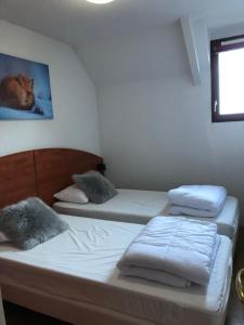 Tempat tidur dalam kamar di Appartement 2 chambres en duplex à La Mongie