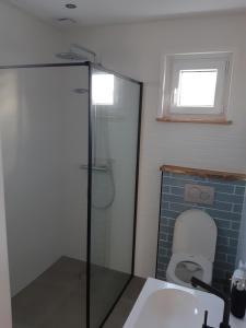 a bathroom with a shower and a toilet at Recreatiewoning Den Hollander in Aagtekerke