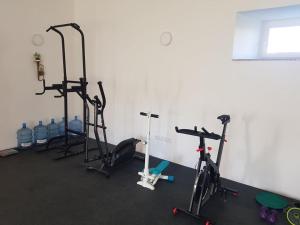 Fitness centrum a/nebo fitness zařízení v ubytování Penzion Tvrz Dub u Tábora