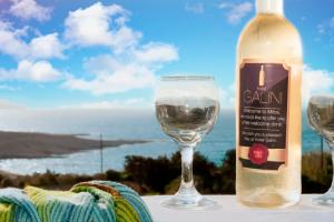 a bottle of wine sitting next to a wine glass at Galini in Agia Irini Milos