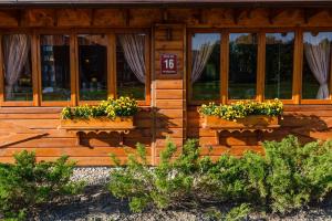 a wooden cabin with two windows and flowers in the window boxes at Agate Hotel in Ozolnieki