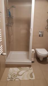 Bilik mandi di Apartament Wisła Bukowa +21 gambar
