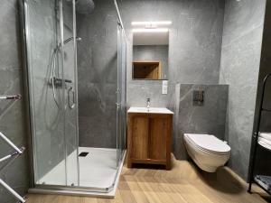 Kúpeľňa v ubytovaní Apartamenty Kalina z widokiem na góry - Kilińskiego + 37 fotografií