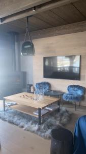 TV a/nebo společenská místnost v ubytování Chalet Clara Megeve