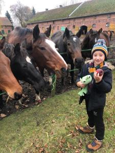 a young child standing in front of a group of horses at Black Horse in Pasłęk
