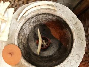 Foto dalla galleria di Nargizaanta a Gurjaani