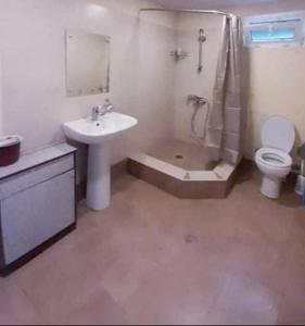 W łazience znajduje się umywalka, toaleta i prysznic. w obiekcie Nargizaanta w mieście Gurjaani
