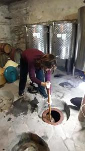 Ospiti di Nargizaanta