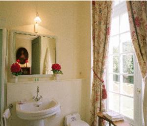 y baño con lavabo, aseo y espejo. en Château de Sarceaux en Alençon