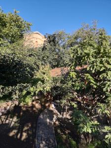 Paesaggio naturale nelle vicinanze del bed & breakfast