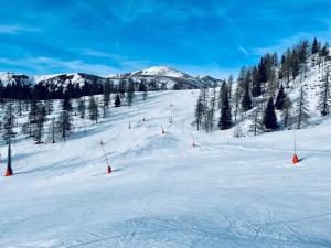 Obiekt Alpenliebe zimą