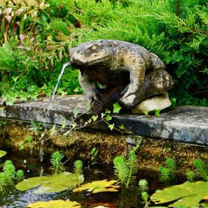 Kép le bon chemin roulotte szállásáról Sainte-Nathalène városában a galériában