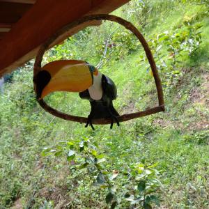 ドミンゴス・マルチンスにあるPousada Recanto Viva a Vidaの鳥が枝に座っている