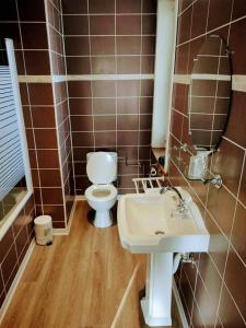 a bathroom with a toilet and a sink and a mirror at Hotel Vredehof in Damme