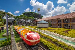 Κήπος έξω από το Hotel Campestre las Camelias