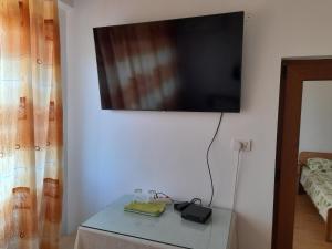 TV a/nebo společenská místnost v ubytování Pensiunea Anda