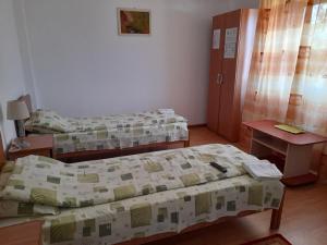 Postel nebo postele na pokoji v ubytování Pensiunea Anda