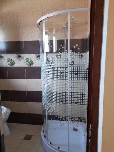 Pensiunea Anda tesisinde bir banyo