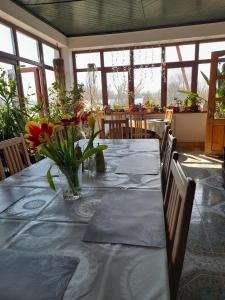 Restaurace v ubytování Pensiunea Anda