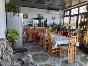 Restaurace v ubytování Pensiunea Anda