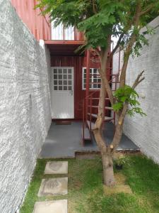 a tree in front of a building with a door at Container LB PONU in Boa Vista