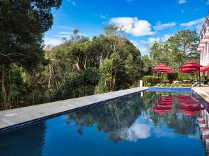 uma piscina com cadeiras vermelhas e guarda-sóis vermelhos em Golden Boutique Hotel Mang Den em Kon Tum