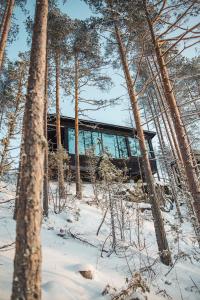 a glass house in the woods in the snow at Kuru Resort in Rantasalmi