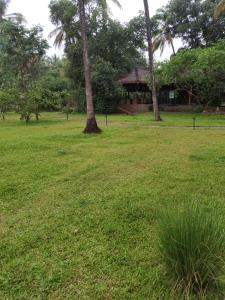 The Orchard Resort外面的花园