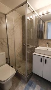La salle de bains est pourvue d'une douche, de toilettes et d'un lavabo. dans l'établissement Cozy fully equipped apartment Thessaloniki, à Thessalonique