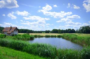 a house in the middle of a field with a pond at Folwark Pszczew in Pszczew