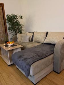 - un salon avec un canapé et une table dans l'établissement Ivy Apartment, à Vrnjačka Banja