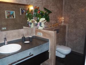 a bathroom with a sink and a toilet at Ca l’Andreu Suites in Alás