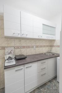 Η κουζίνα ή μικρή κουζίνα στο Apartman Milion Banja Koviljača +25 φωτογραφίες