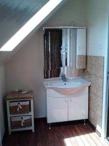 a bathroom with a sink and a mirror at Le Val d'Andé chez habitant 6 lits individuels in Andé +44 photos