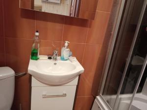 Koupelna v ubytování Pokoje u Adama i Ewy + 11 fotografií