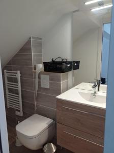 a bathroom with a toilet and a sink at Les Clés de XOULCES in Cornimont