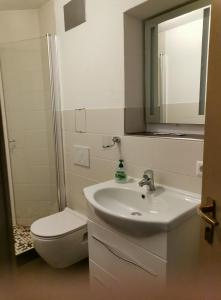 La salle de bains est pourvue d'un lavabo, de toilettes et d'un miroir. dans l'établissement Aparthotel Kupferkanne, à Todtmoos