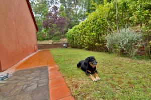 Domáce zviera alebo zvieratá hostí v ubytovaní Relais jardin San Vivaldo