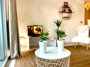 a living room with two potted plants on a table at Bel Appartement T3 de 60m2 avec Parking, Terrasse, proche du Métro et du Périph in Toulouse