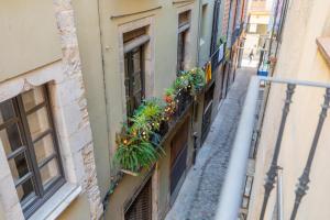 un callejón con macetas en las ventanas de un edificio en Flateli Cort Reial 10, en Girona
