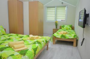 a bedroom with two beds and a tv and a chair at Guest House Konak Iris in Predejane