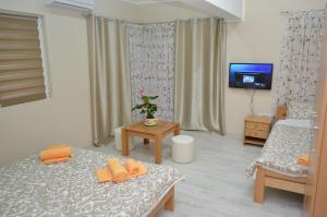普雷德亞內的住宿－Guest House Konak Iris，一间设有床铺和电视的房间