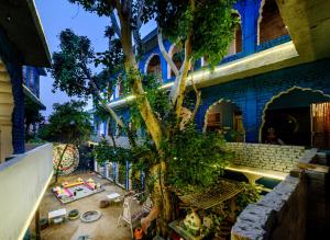 a house with a tree in the middle of a yard at Hide-In Pushkar in Pushkar